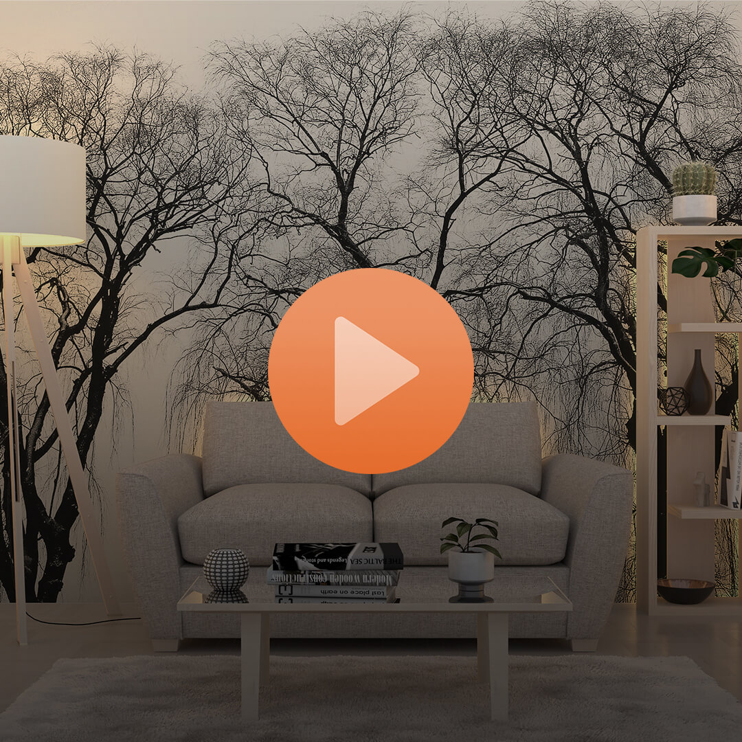 Dreamwall Nasıl Uygulanır?