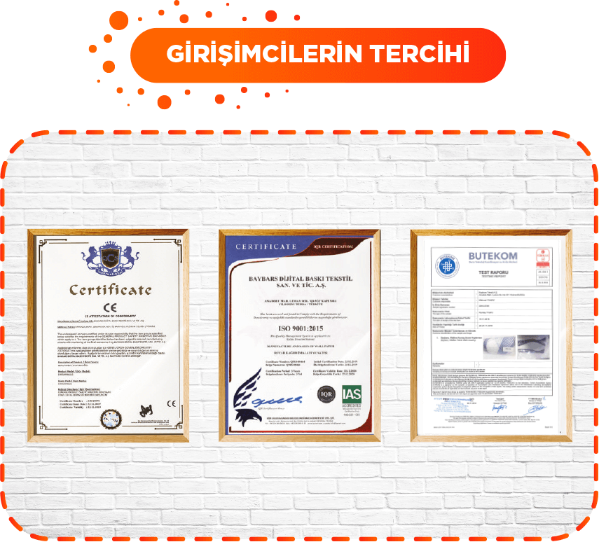 Girişimcilerin Tercihi Girişimcilerin Tercihi